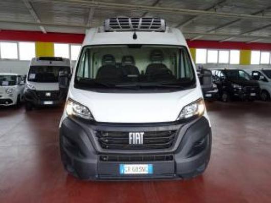 usato FIAT Ducato