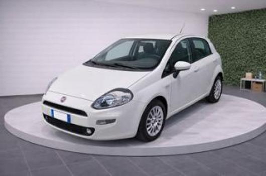 usato FIAT Punto
