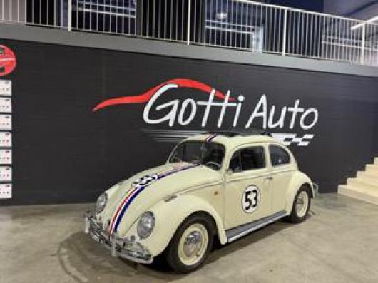usato VOLKSWAGEN Maggiolino