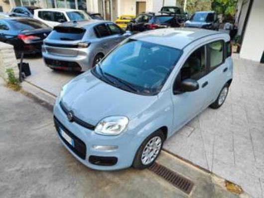 usato FIAT Panda