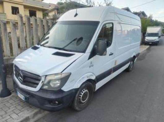 Sprinter