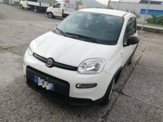 usato FIAT Panda
