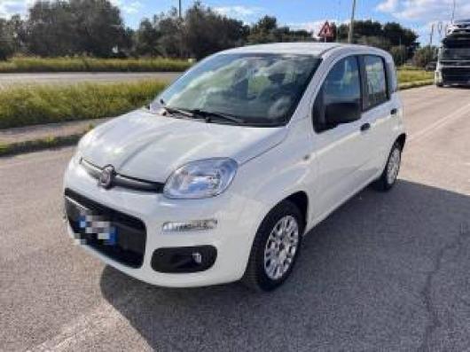 usato FIAT Panda