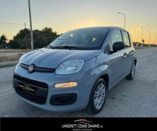 usato FIAT Panda