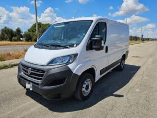 usato FIAT Ducato