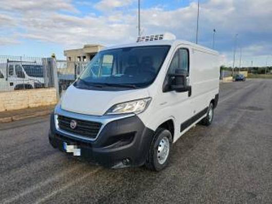 usato FIAT Ducato