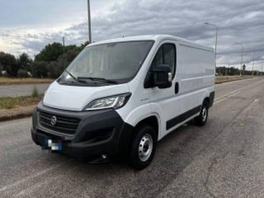 usato FIAT Ducato