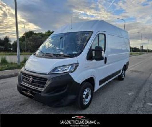 Ducato