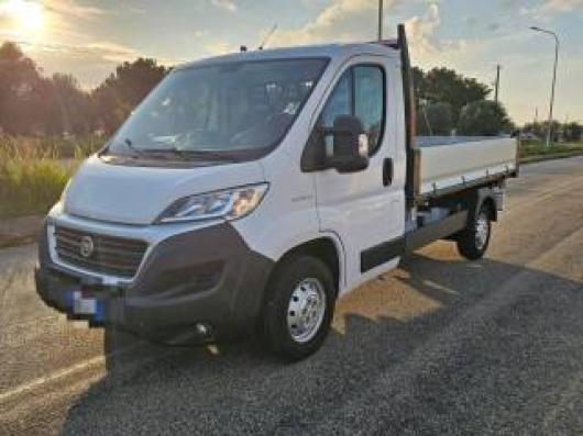 Ducato