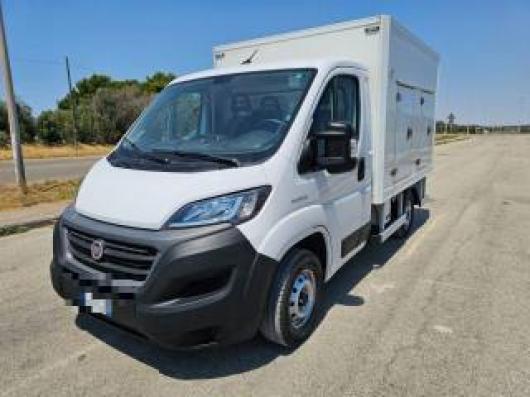 usato FIAT Ducato