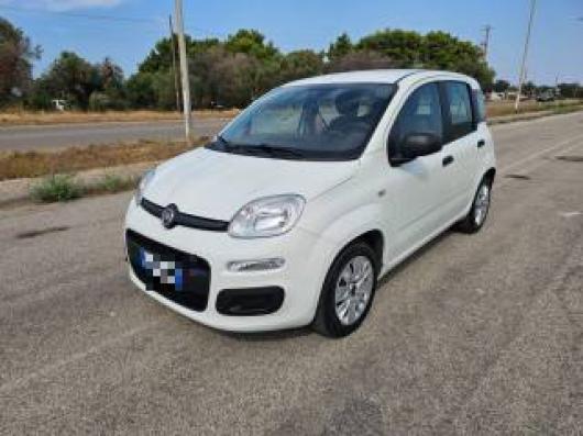 usato FIAT Panda