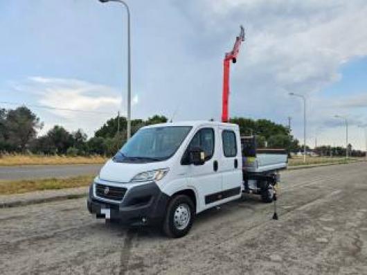 usato FIAT Ducato