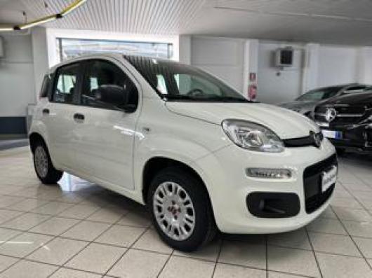 usato FIAT Panda
