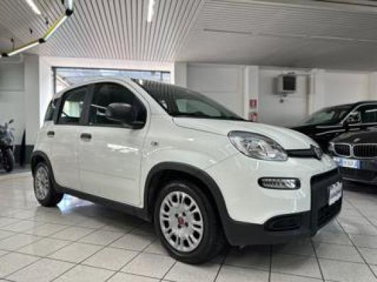 usato FIAT Panda