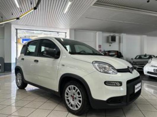 usato FIAT Panda