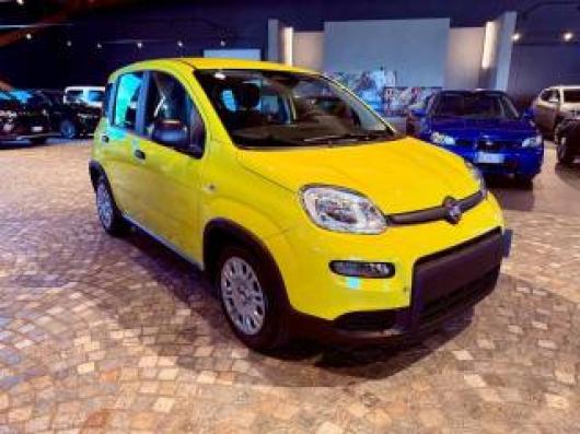usato FIAT New Panda