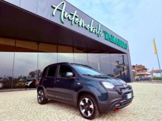 usato FIAT New Panda