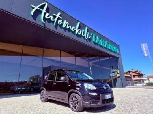 usato FIAT New Panda
