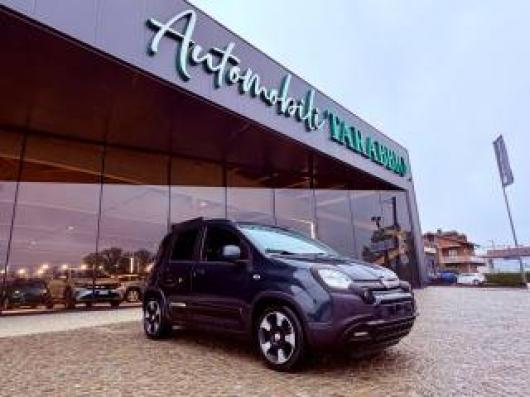 usato FIAT New Panda