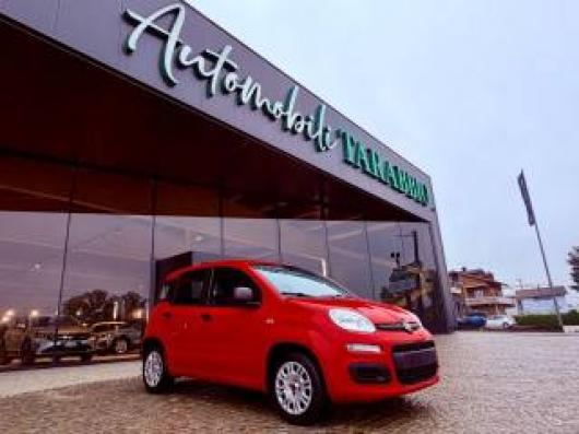 usato FIAT New Panda