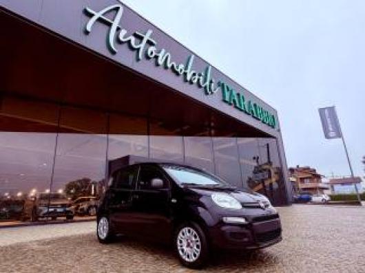 usato FIAT New Panda