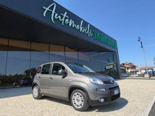 usato FIAT New Panda