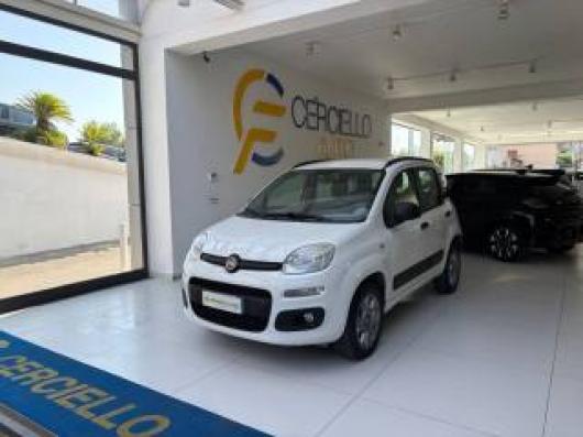 usato FIAT Panda
