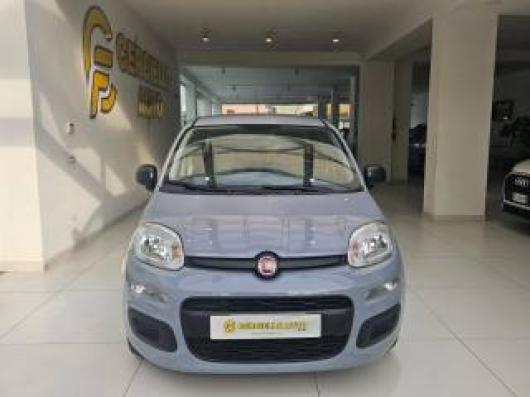 usato FIAT Panda