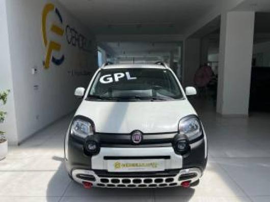 usato FIAT Panda