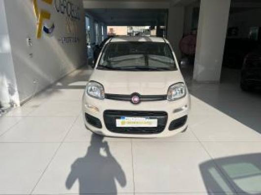 usato FIAT Panda