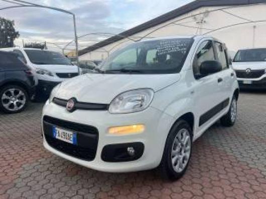 usato FIAT Panda