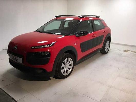 C4 Cactus