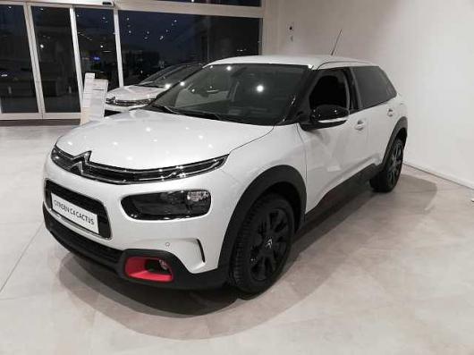 C4 Cactus