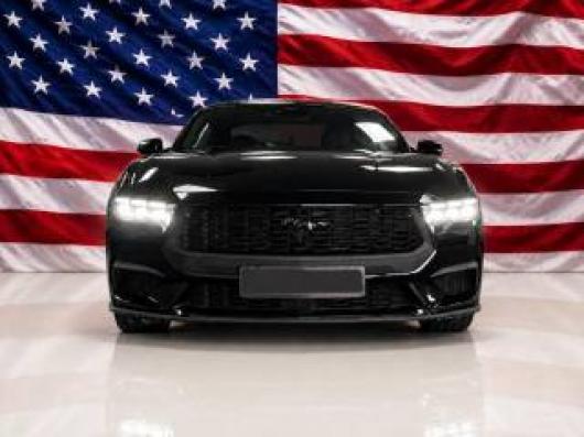 Mustang