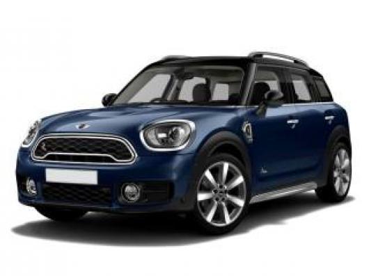 usato MINI Countryman