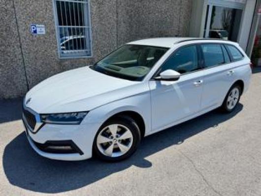 usato SKODA Octavia