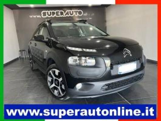 C4 Cactus