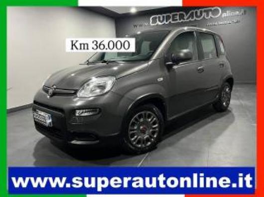usato FIAT Panda