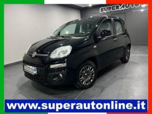 New Panda