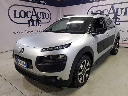 C4 Cactus