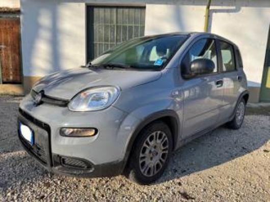usato FIAT New Panda