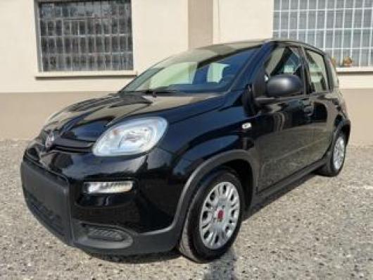 usato FIAT New Panda