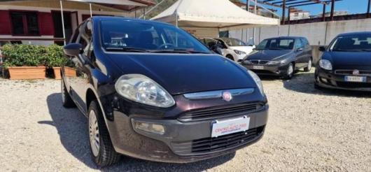 usato FIAT Punto Evo