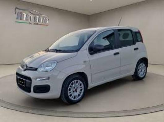 usato FIAT Panda