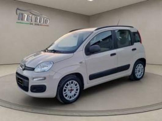 usato FIAT Panda
