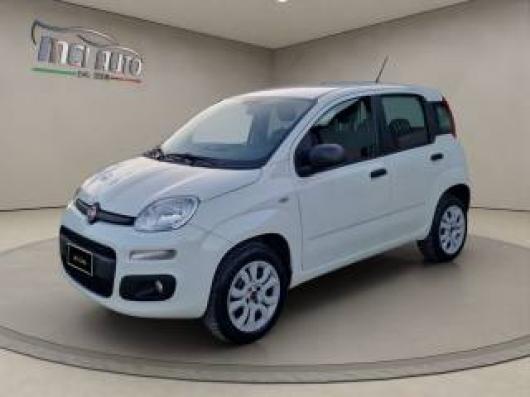 usato FIAT Panda