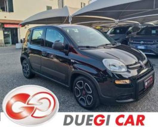 usato FIAT Panda