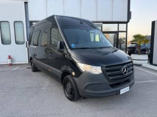 Sprinter