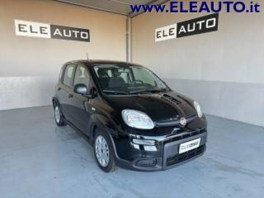 usato FIAT Panda
