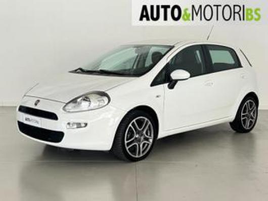 usato FIAT Punto